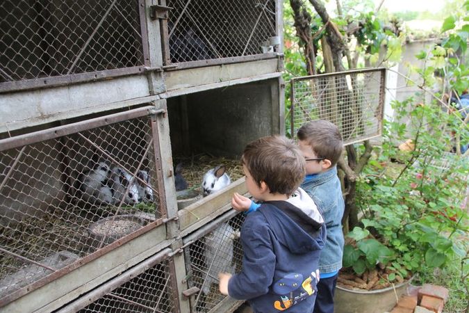 Ferme pédagogique - La Rofinière pour les enfants